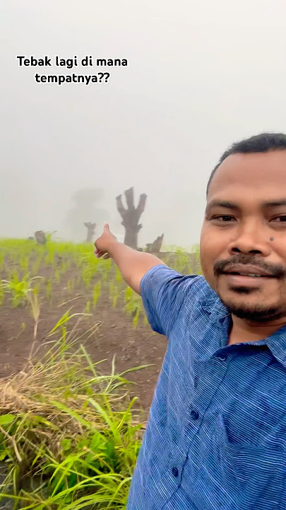 Kabut di perbukitan maumere #blackpink #cover #123