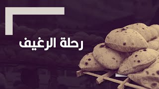 مصر من سلة غذاء العالم إلى أكبر مستورد للقمح.. ماذا حدث لرغيف الخبز