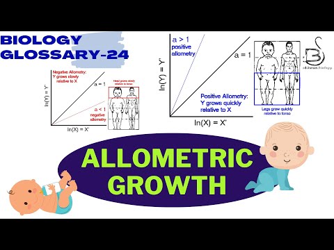 Video: De ce este importantă alometria?