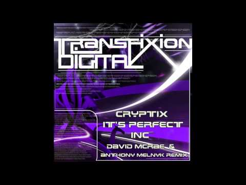 Cryptix - It's Perfect (Original Mix) [Transfixion Digital]
