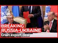 Russia-Ukraine war: Warring sides sign grain export deal