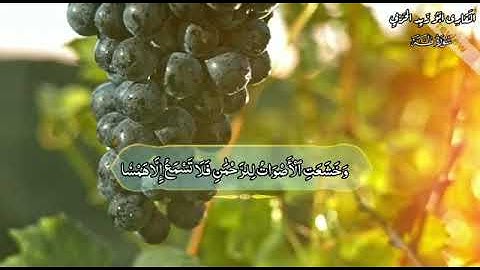 تلاوة رووعة _خاشعة ماتيسر من سورة طه