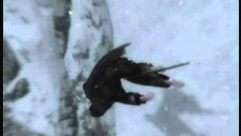 Skyrim - Jump From The Throat Of The World