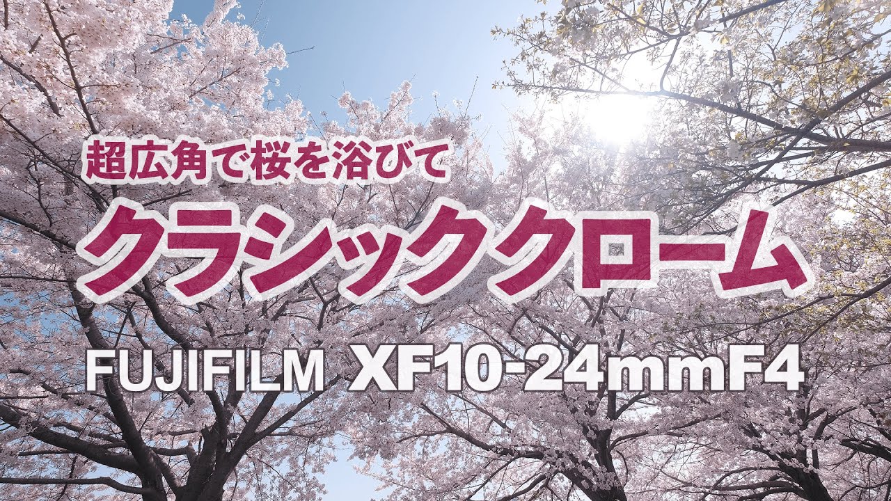 FUJIFILM XF10-24mmF4 クラシッククローム 超広角で桜を浴びて｜京都川