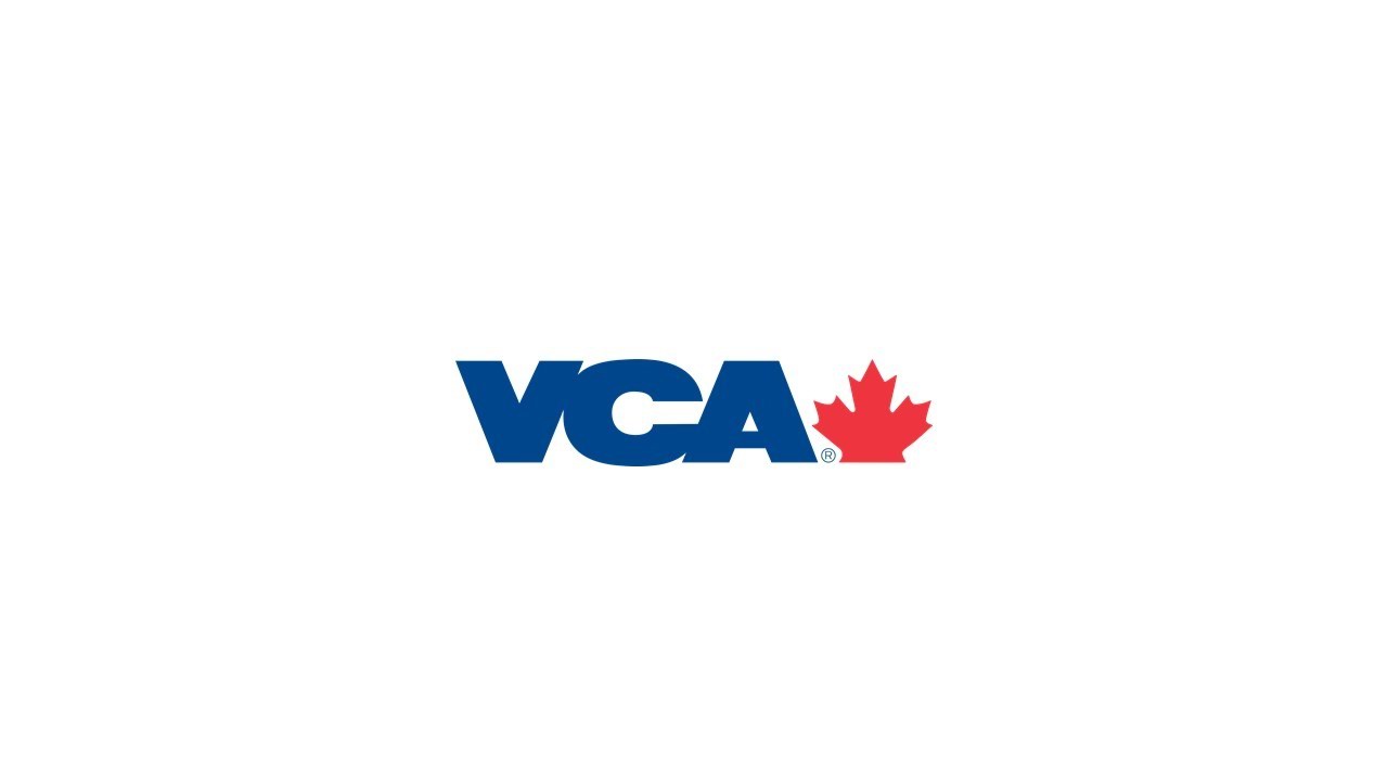 to VCA Canada YouTube