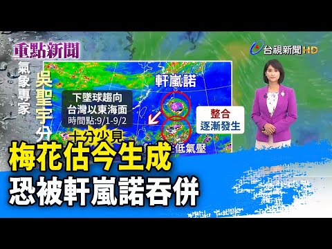 梅花估今生成 恐被軒嵐諾吞併【重點新聞】-20220831