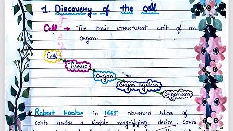 The Cell /Class 9th /project file/The fundamental unit of life portfolio/Science #cell