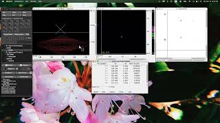 Automated peak picking and chemical shift assignments of protein NMR spectra (Abigail Chiu)