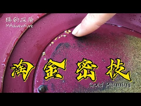 戶外探險 | 淘金土有多少黃金？正確掏金盤使用技巧 秒揭露泥砂覆蓋的金礦Gold Panning Like a Pro -Beginners Paydirt Gold Panning Tutorial