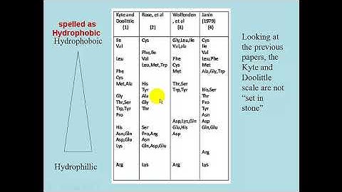 Protein Folding, Stability, and Prediction