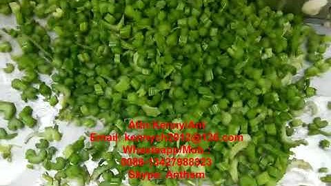 CH-20 celery cutting slicing machine, celery cutter slicer