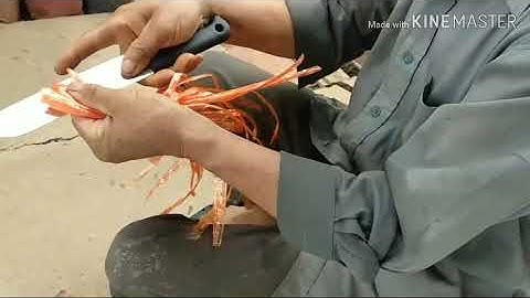 Kỹ thuật chiết cành bưởi da xanh bằng mùn dừa