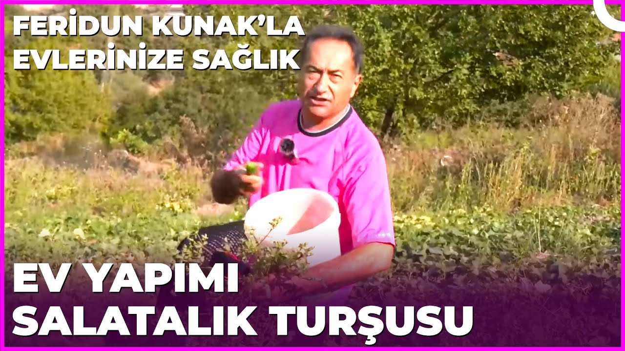 Tarladan Toplanan Şahane Salatalıklarla Şahane Turşular | Dr. Feridun Kunak’la Evlerinize Sağlık