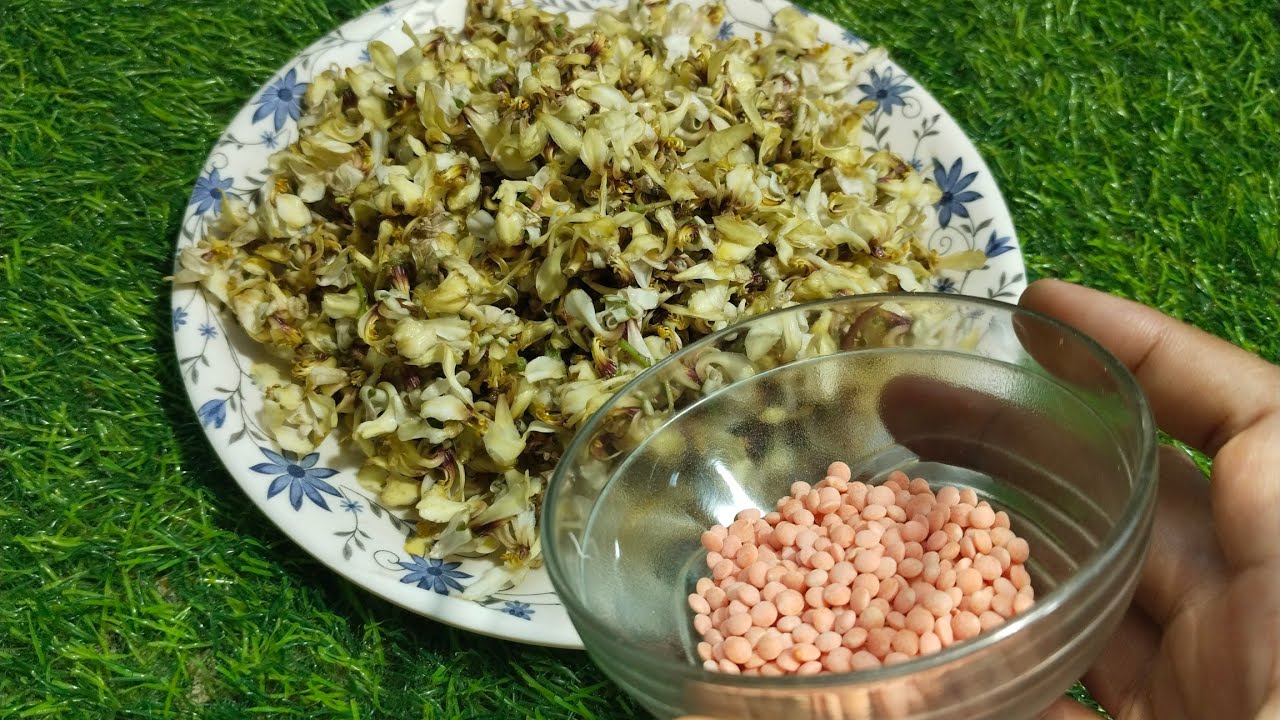 সজনে ফুলের সঙ্গে অল্প একটু মসুর ডাল দিয়ে ইউনিক রেসিপি।।Sajne Phool Er Unique Recipe....