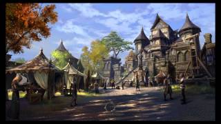 The Elder Scrolls Online: GLITCH Falling through the ground