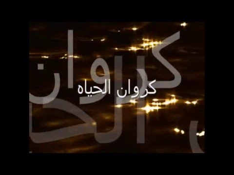 من نظرة عين كروان الحياه 