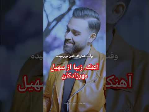آهنگ زیبا از سهیل مهرزادگان عزیز چقدر قشنگ میخونه موزیک پاپ ترانه سهیل مهرزادگان کنسرت جدید
