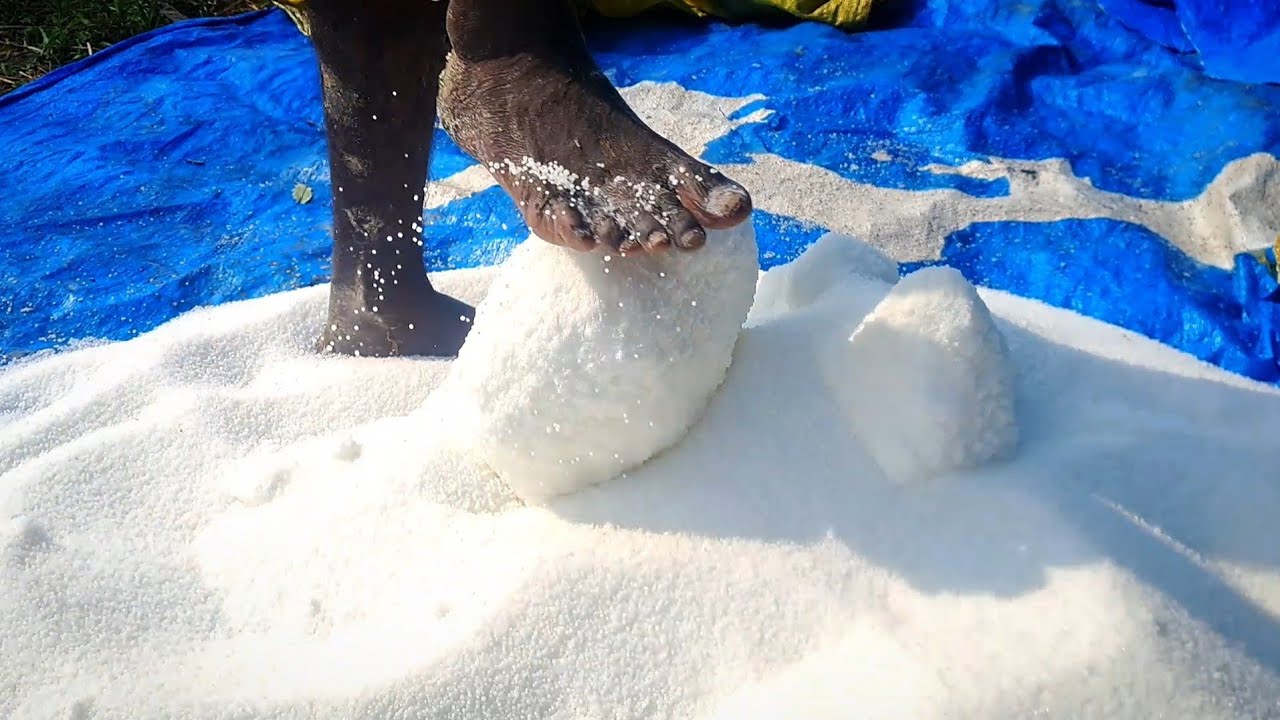 खेल में मस्ती #🔥🤪😅🤪🔥