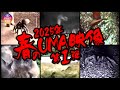 【映像】2025年 春のUMA映像 第1弾