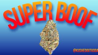 Super BOOF Strain Review: Daly Dope