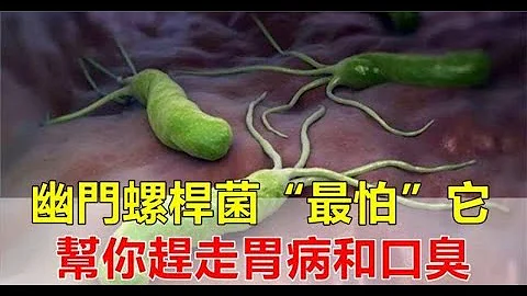 幽門螺桿菌「最怕」這6種食物，經常多吃點，幫你養好胃，趕走胃病和口臭 - 天天要聞