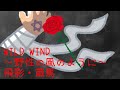 蔵馬(緒方恵美)・飛影(檜山修之)/WILD WIND ~野性の風のように~