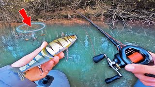 J'imaginais pas trouver un tel poisson ici, découverte d'une petite carrière d'eau claire !!