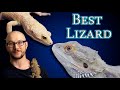 Bearded Dragon vs Leopard Gecko | What Is The Best Pet Lizard!?