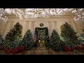 Рождественские огни: как выбрать елку и украсить дом к главному католическому празднику