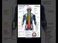 Human Spinal Cord Explained in Hindi & English | Complete Medical Series II episode -1