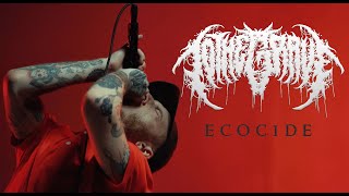 TO THE GRAVE - Ecocide [Official Music Video]