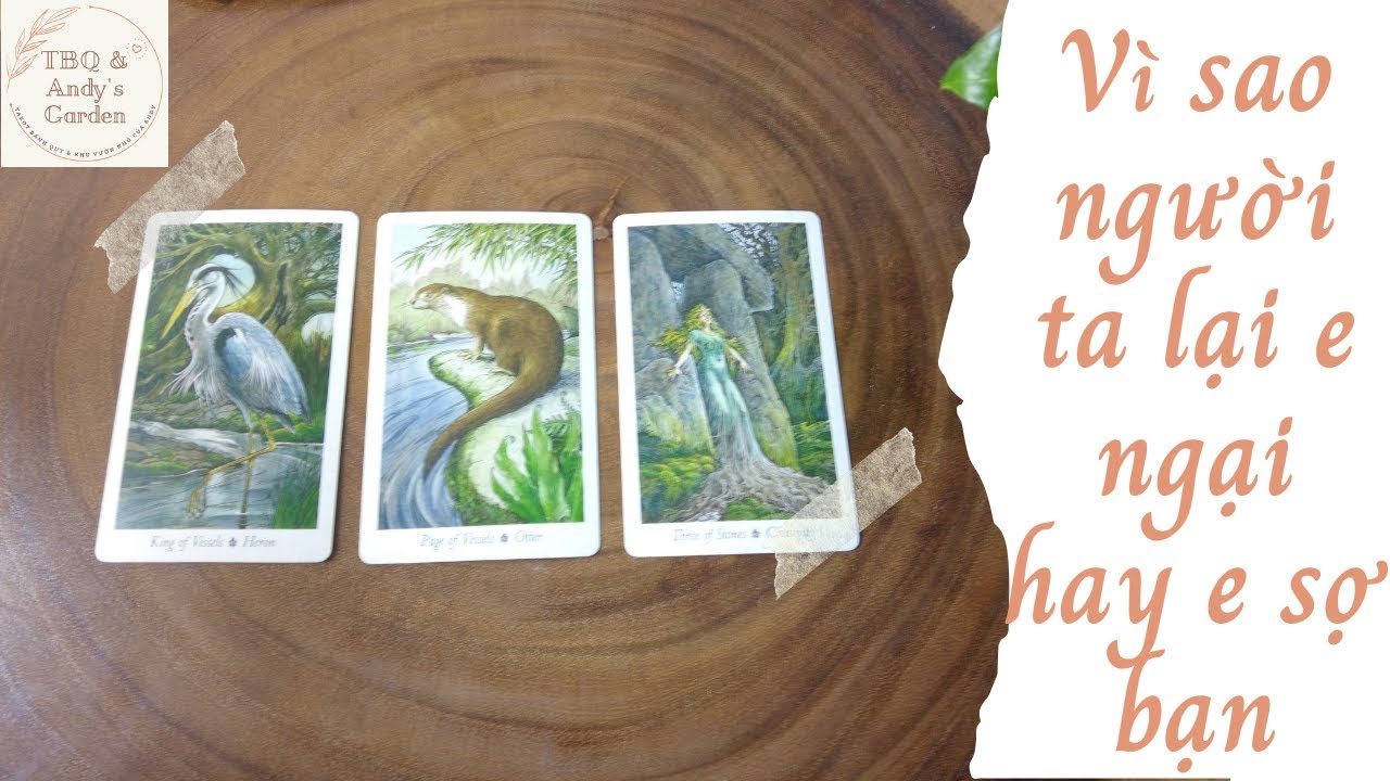 Vì sao người ta lại e ngại hay e sợ bạn {Hiểu về góc khuất bản thân} | Chọn 1 tụ bài | Xem Tarot