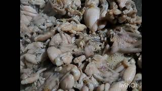 HOW TO COOK THE FROG\/EXOTIC FOOD