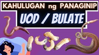 ? Kahulugan ng PANAGINIP ng UOD o BULATE | Ano ang IBIG SABIHIN kung nanaginip ng BULATE, UOD o WORM