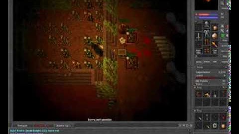 Tibia Katana Quest Rook