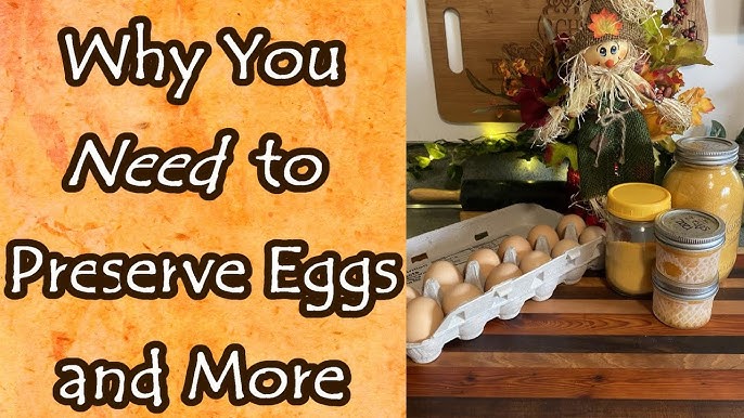 Water Glassing Eggs: How to Preserve Your Fresh Eggs for Long-Term Storage  • The Prairie Homestead