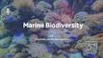 The Intriguing World of Marine Biogeography ile ilgili video