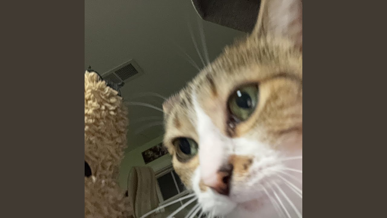 Guarda Kickback su YouTube Guarda Kickback su YouTube