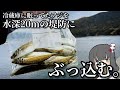 釣ったアジを餌にすると、激太いアイツが釣れちゃ!!!