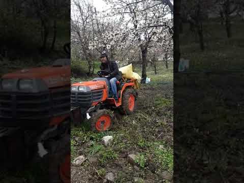 kubota 1610