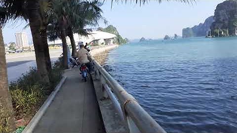 Xem câu cá ở bảo tàng Hạ Long