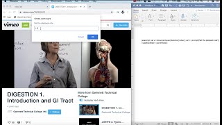 How to Speed Up Vimeo Videos on Google Chrome (see description)