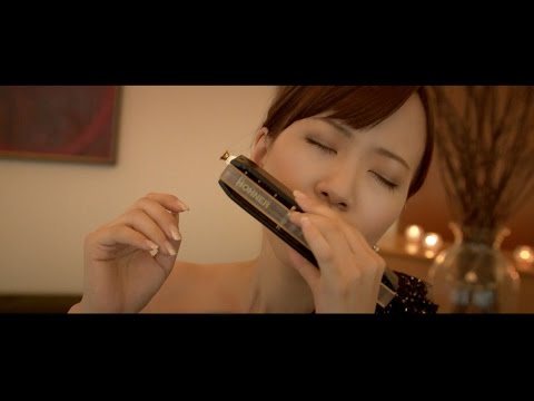 クロマチックハーモニカ南里沙『諸刃の剣』PV完全版｜Chromatic Harmonica Risa Minami " Sword Of Double Edge "