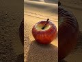 سوره الضحى