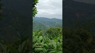 Bir Öküz Aldım Beşe 😉 Aleva Köyü