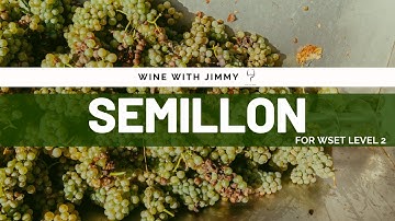 Grape Varieties - Semillon Intermediate Version ideal for WSET Level 2 Wine