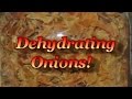 Dehydrating Onions