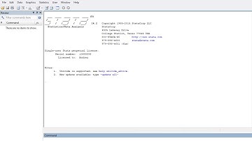 Learn STATA Basics in 11 Minutes