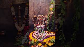 #buleshwar #shortvideo #shortvideo