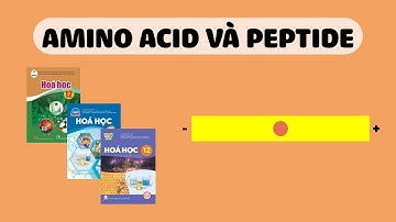 [HÓA 12] AMINO ACID VÀ PEPTIDE (Sách Cánh Diều, Chân Trời Sáng Tạo, Kết Nối Tri Thức)